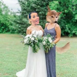 Meet your Posher, Kristin